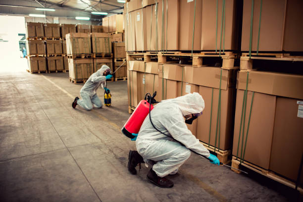 Best Wasp Removal Services  in Unicoi, TN