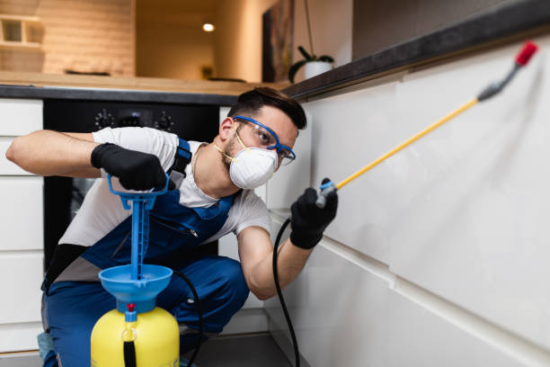 Best Mosquito Control Services  in Unicoi, TN